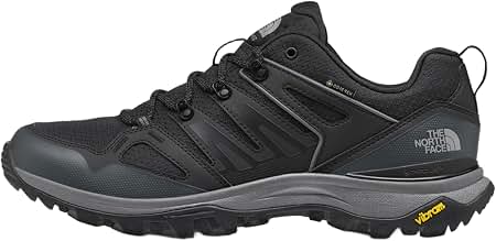Amazon.com: THE NORTH FACE Men's Hedgehog Gore-tex Hiking Shoe